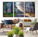 Forest Path Canvas Wall Art | 3 Panel Sun Rays in a Misty
