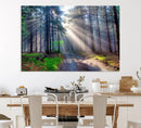 Forest Path Canvas Wall Art | 3 Panel Sun Rays in a Misty