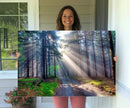 Forest Path Canvas Wall Art | 3 Panel Sun Rays in a Misty