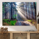 Forest Path Canvas Wall Art | 3 Panel Sun Rays in a Misty