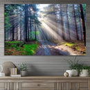 Forest Path Canvas Wall Art | 3 Panel Sun Rays in a Misty