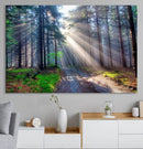 Forest Path Canvas Wall Art | 3 Panel Sun Rays in a Misty