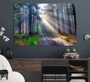 Forest Path Canvas Wall Art | 3 Panel Sun Rays in a Misty