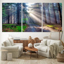 Forest Path Canvas Wall Art | 3 Panel Sun Rays in a Misty