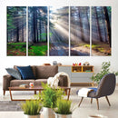 Forest Path Canvas Wall Art | 3 Panel Sun Rays in a Misty