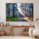 Forest Path Canvas Wall Art | 3 Panel Sun Rays in a Misty