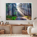 Forest Path Canvas Wall Art | 3 Panel Sun Rays in a Misty