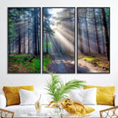 Forest Path Canvas Wall Art | 3 Panel Sun Rays in a Misty