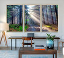 Forest Path Canvas Wall Art | 3 Panel Sun Rays in a Misty