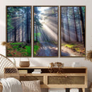 Forest Path Canvas Wall Art | 3 Panel Sun Rays in a Misty