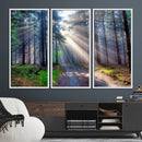 Forest Path Canvas Wall Art | 3 Panel Sun Rays in a Misty by MyGreatCanvas | Canvas Wall Art Prints | Photo Prints & Wall Decor