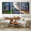 Forest Path Canvas Wall Art | 3 Panel Sun Rays in a Misty by MyGreatCanvas | Canvas Wall Art Prints | Photo Prints & Wall Decor