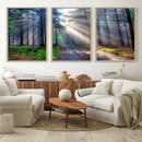 Forest Path Canvas Wall Art | 3 Panel Sun Rays in a Misty