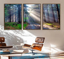 Forest Path Canvas Wall Art | 3 Panel Sun Rays in a Misty