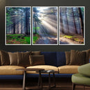 Forest Path Canvas Wall Art | 3 Panel Sun Rays in a Misty