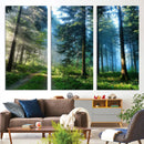 Forest Sun Shine Wall Art Canvas Print