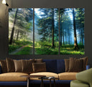 Forest Sun Shine Wall Art Canvas Print