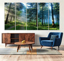 Forest Sun Shine Wall Art Canvas Print by MyGreatCanvas | Canvas Wall Art Prints | Photo Prints & Wall Decor