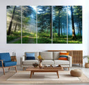 Forest Sun Shine Wall Art Canvas Print by MyGreatCanvas | Canvas Wall Art Prints | Photo Prints & Wall Decor