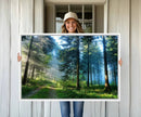 Forest Sun Shine Wall Art Canvas Print by MyGreatCanvas | Canvas Wall Art Prints | Photo Prints & Wall Decor