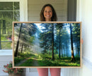 Forest Sun Shine Wall Art Canvas Print