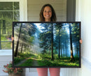Forest Sun Shine Wall Art Canvas Print by MyGreatCanvas | Canvas Wall Art Prints | Photo Prints & Wall Decor