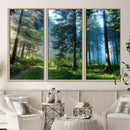 Forest Sun Shine Wall Art Canvas Print by MyGreatCanvas | Canvas Wall Art Prints | Photo Prints & Wall Decor