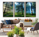 Forest Sun Shine Wall Art Canvas Print by MyGreatCanvas | Canvas Wall Art Prints | Photo Prints & Wall Decor