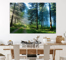 Forest Sun Shine Wall Art Canvas Print