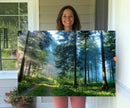 Forest Sun Shine Wall Art Canvas Print