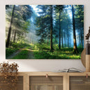Forest Sun Shine Wall Art Canvas Print