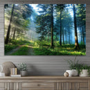 Forest Sun Shine Wall Art Canvas Print