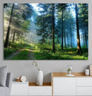 Forest Sun Shine Wall Art Canvas Print