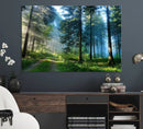 Forest Sun Shine Wall Art Canvas Print