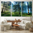 Forest Sun Shine Wall Art Canvas Print