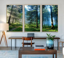 Forest Sun Shine Wall Art Canvas Print by MyGreatCanvas | Canvas Wall Art Prints | Photo Prints & Wall Decor
