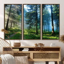 Forest Sun Shine Wall Art Canvas Print by MyGreatCanvas | Canvas Wall Art Prints | Photo Prints & Wall Decor