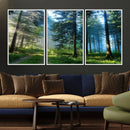 Forest Sun Shine Wall Art Canvas Print by MyGreatCanvas | Canvas Wall Art Prints | Photo Prints & Wall Decor