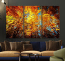 Forest View at Fall Wall Art Autumn Colors Landscape Canvas by MyGreatCanvas | Canvas Wall Art Prints | Photo Prints & Wall Decor