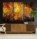 Forest View at Fall Wall Art Autumn Colors Landscape Canvas by MyGreatCanvas | Canvas Wall Art Prints | Photo Prints & Wall Decor