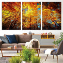 Forest View at Fall Wall Art Autumn Colors Landscape Canvas by MyGreatCanvas | Canvas Wall Art Prints | Photo Prints & Wall Decor