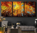 Forest View at Fall Wall Art Autumn Colors Landscape Canvas by MyGreatCanvas | Canvas Wall Art Prints | Photo Prints & Wall Decor