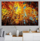 Forest View at Fall Wall Art Autumn Colors Landscape Canvas by MyGreatCanvas | Canvas Wall Art Prints | Photo Prints & Wall Decor
