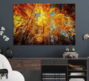 Forest View at Fall Wall Art Autumn Colors Landscape Canvas by MyGreatCanvas | Canvas Wall Art Prints | Photo Prints & Wall Decor