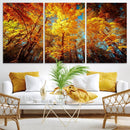 Forest View at Fall Wall Art Autumn Colors Landscape Canvas by MyGreatCanvas | Canvas Wall Art Prints | Photo Prints & Wall Decor