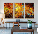 Forest View at Fall Wall Art Autumn Colors Landscape Canvas by MyGreatCanvas | Canvas Wall Art Prints | Photo Prints & Wall Decor