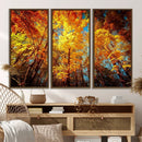 Forest View at Fall Wall Art Autumn Colors Landscape Canvas by MyGreatCanvas | Canvas Wall Art Prints | Photo Prints & Wall Decor