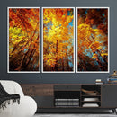 Forest View at Fall Wall Art Autumn Colors Landscape Canvas by MyGreatCanvas | Canvas Wall Art Prints | Photo Prints & Wall Decor