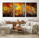 Forest View at Fall Wall Art Autumn Colors Landscape Canvas by MyGreatCanvas | Canvas Wall Art Prints | Photo Prints & Wall Decor