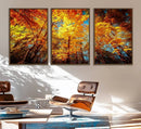 Forest View at Fall Wall Art Autumn Colors Landscape Canvas by MyGreatCanvas | Canvas Wall Art Prints | Photo Prints & Wall Decor